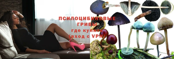 СК Лихославль