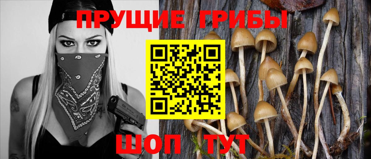 Галлюциногенные грибы MAGIC MUSHROOMS  Вход с VPN  Саров 