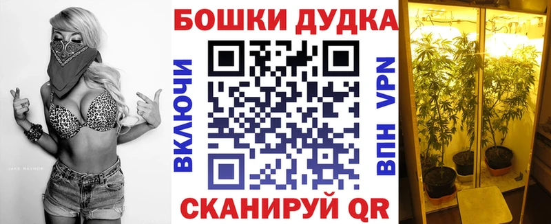 Купить где  Саров  Конопля индика 