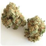 Шишки "White Widow"  (Белая вдова)  Гидропоника -  Бошка VHQ в Сарове