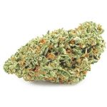 Шишки OG Kush  (Гидропоника, бошки) VHQ в Сарове